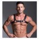 Streamline Bulldog Harness - Black | Black - Small | Medium