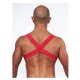 URBAN Cockstrap Club Harness Red