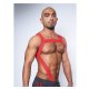 URBAN Cockstrap Club Harness Red